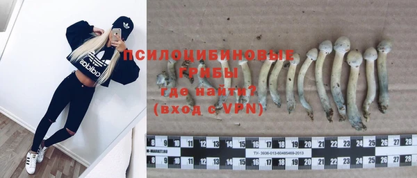 дурь Абаза