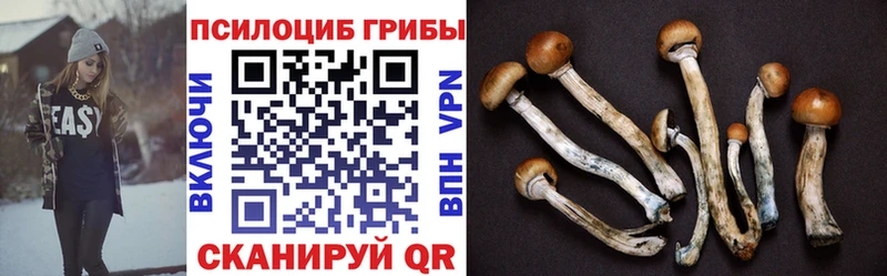 Псилоцибиновые грибы MAGIC MUSHROOMS  закладка  Лосино-Петровский 